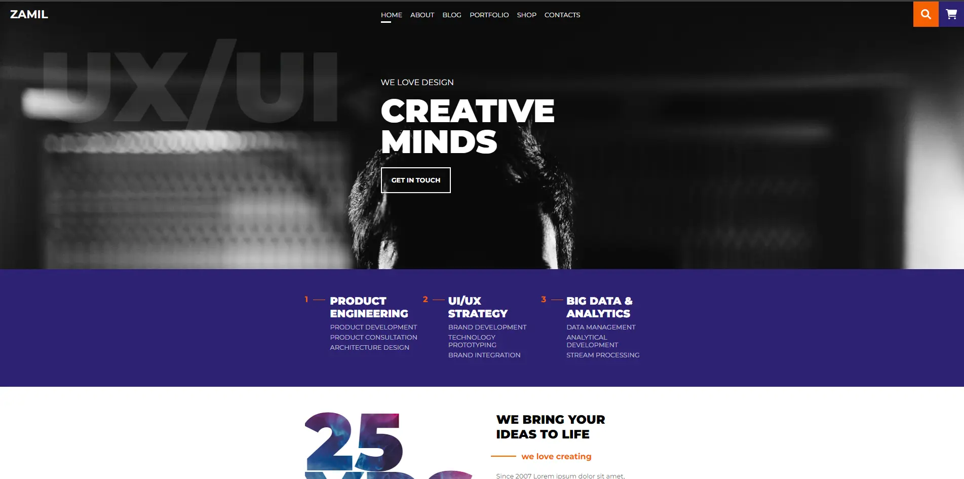 Agency Website